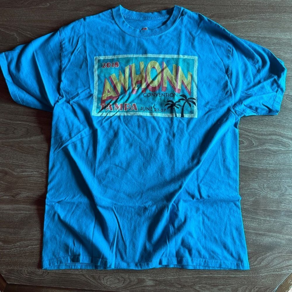 Hanes 2018 Awhonn Convention Tampa Florida Teal T-shirt Size L